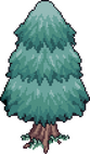 Pine Tree